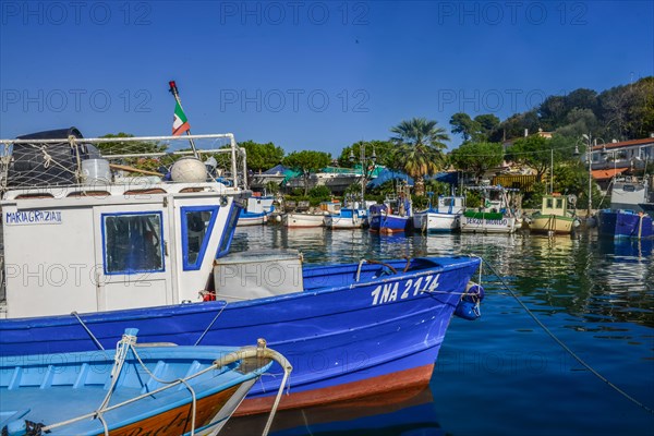 Fishing boats