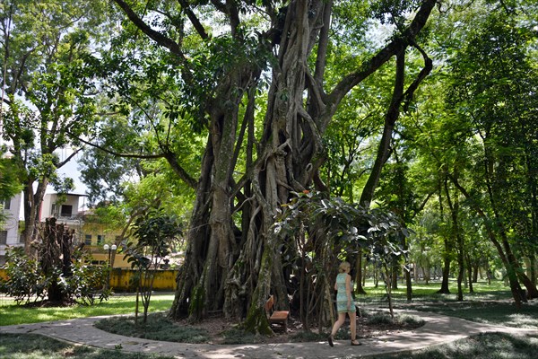 Botanical Garden