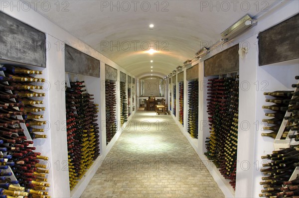 Wine bottles stored in the cellar