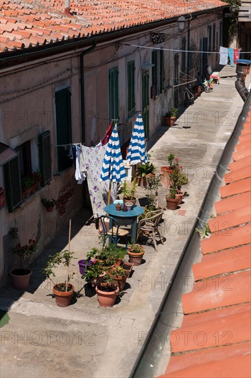 Alley in old town