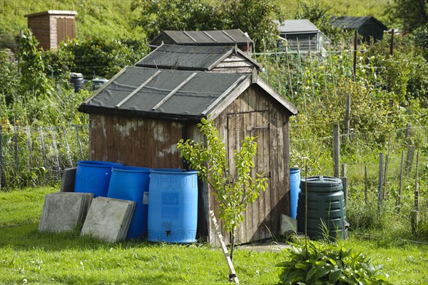 Sheds with rainwater butts on allotments