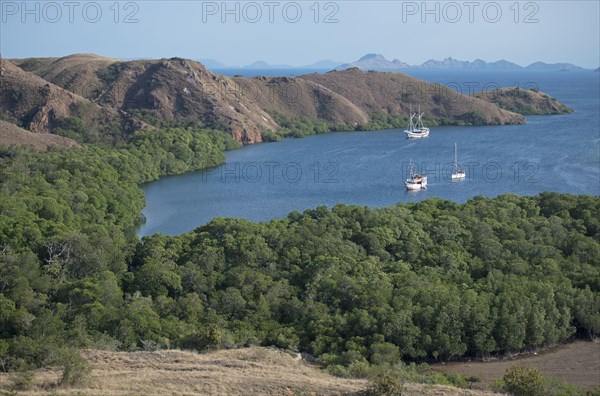 View of bay with liveaboard dive boats