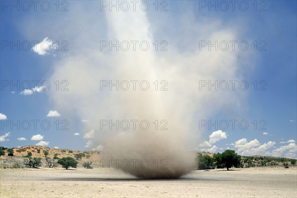 Dust devil cyclone crosses dry river bed in semi-desert
