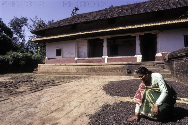 AKodava women drying coffee seed infront of 150 years old Kodava house in Kodagu Coorg