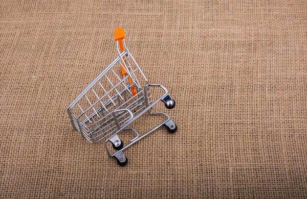Shopping cart placed on canvas background