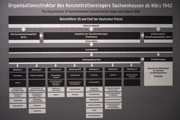 Hierarchy of the camp