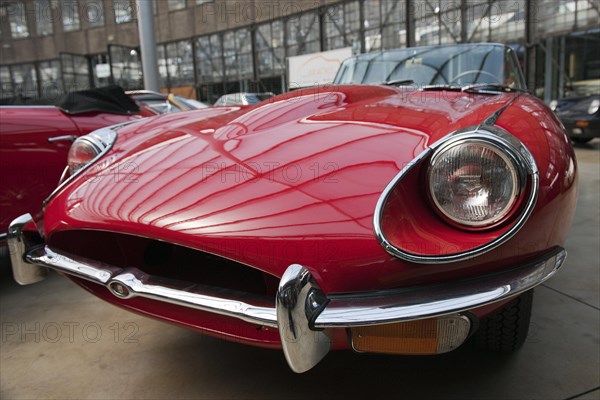 Vintage Jaguar E-Type