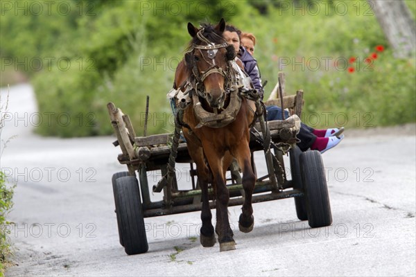 Old peasant carts on the Bulgarian country road