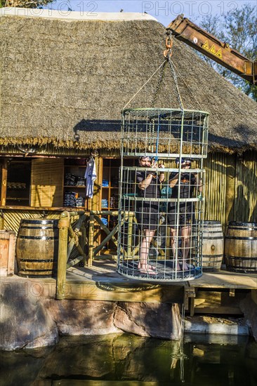 Diving with crocodiles in a steel cage