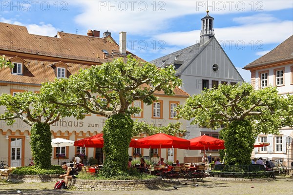 Gasthaus zum Eisernen Kreuz with guests on outdoor seating with plane trees