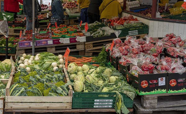 Market stalls and sales booths on the grounds of the asparagus farm in Klaistow