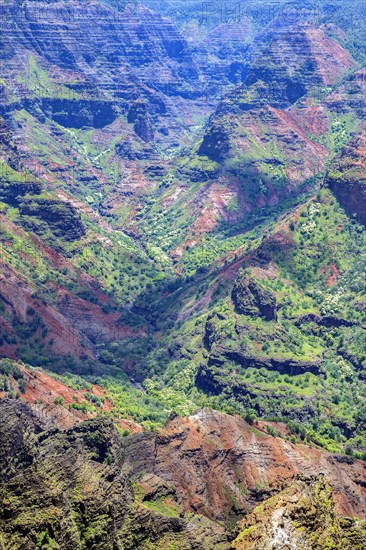 Waimea Canyon