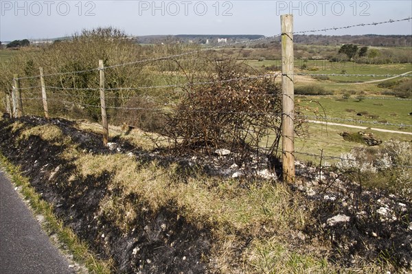 Roadside verge burnt after small grass fire