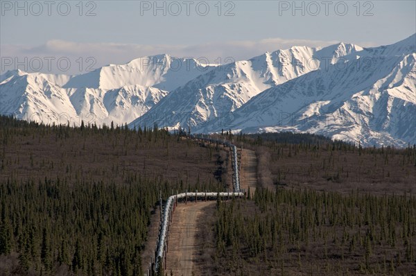 Oil pipeline crossing taiga habitat