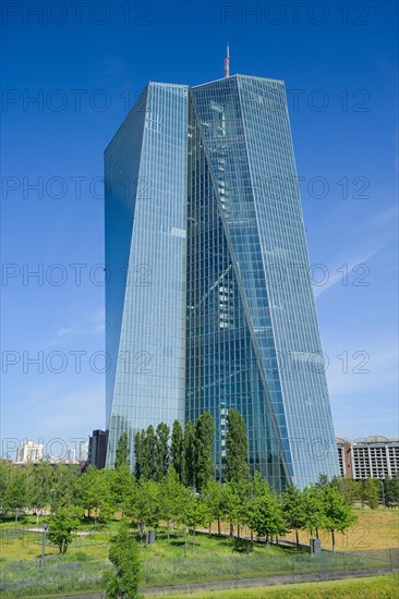 European Central Bank ECB