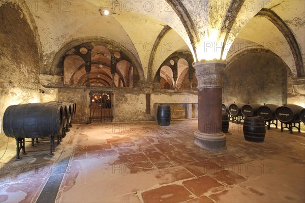 Wine cellar with wine barrels in the cabinet cellar of the UNESCO Eberbach Monastery in Eltville