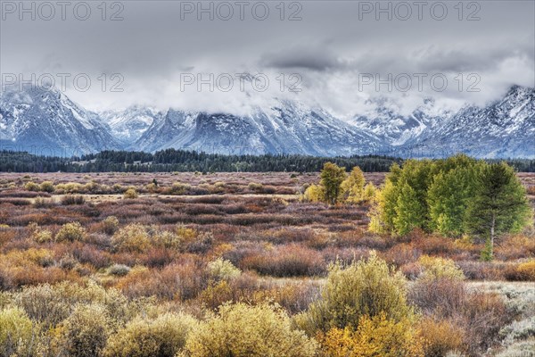 Mountain range