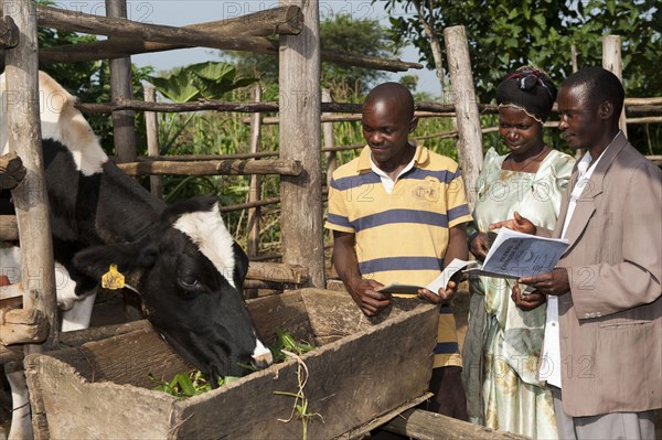 Farmer with adviser looking at milk records for dairy cows