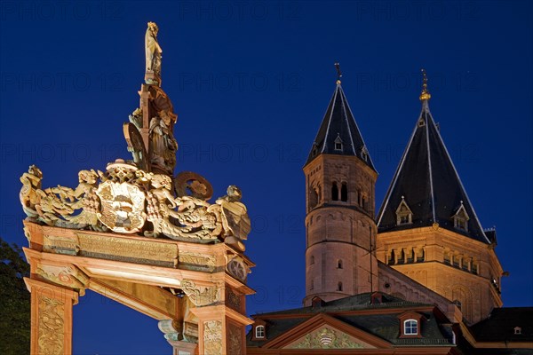 Illuminated market fountain and the high St. Martin's Cathedral in the evening