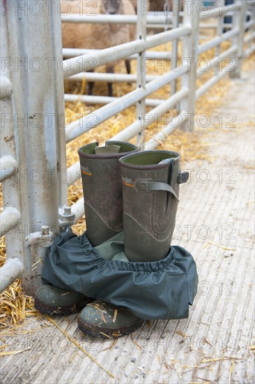Farmers wellington boots and waterproof trousers outside pens at livestock market