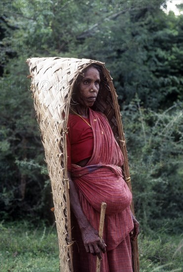 Village old woman covering her head with coconut tree leaves during raining