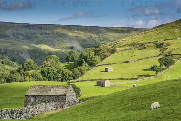 View of stone barns