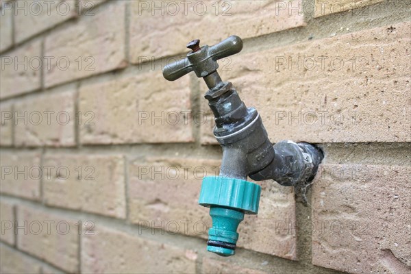 Close-up of garden tap