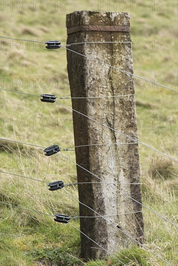 Sturdy Sleeping Corner Post with Wires and Insulators for and Electric Fence for Stable Cattle