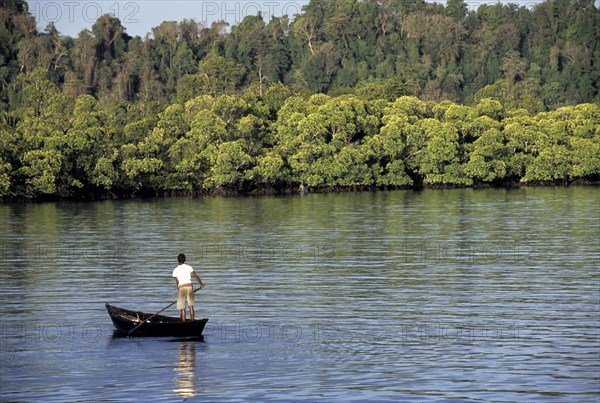 Havelock Island