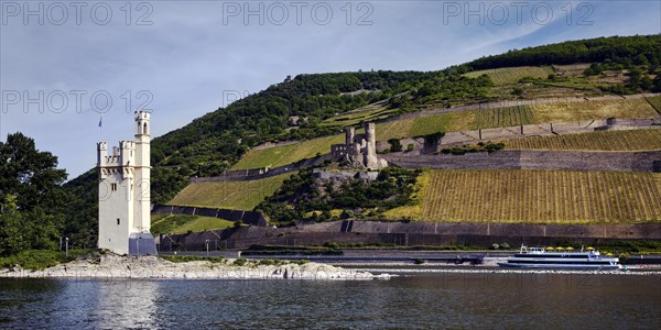 Bingen Maeuseturm and Ehrenfels Castle