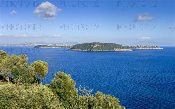 Vivara and Procida Islands