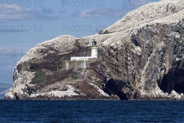 View of volcanic plug island and sea