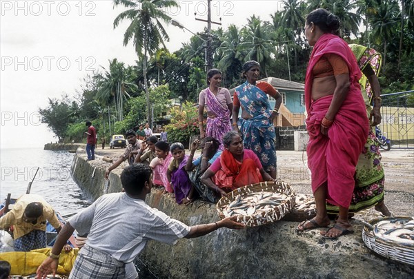 Women purchasing fish at Junglighat in Port Blair