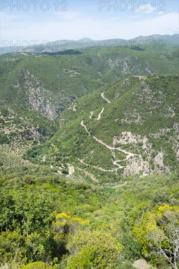 Neda Gorge near Figalia