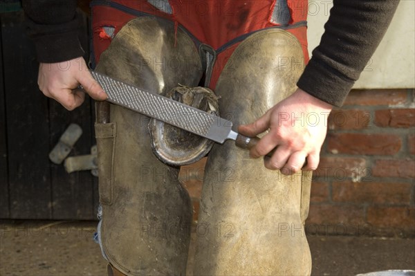 Levelling the underside of the foot with a rasp