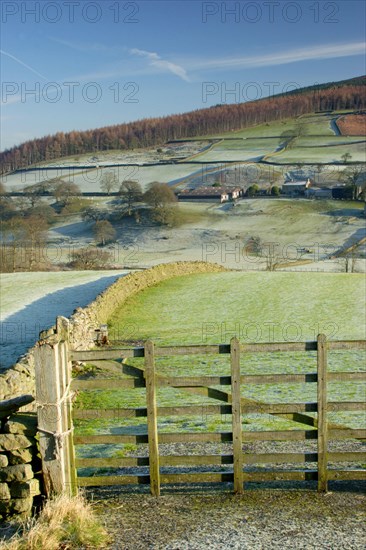 View of gate