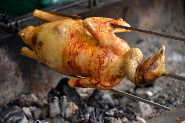 Duck on a spit
