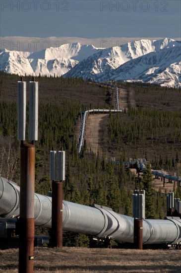 Oil pipeline crossing taiga habitat