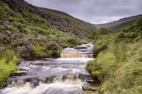 View of the Cascade Stream
