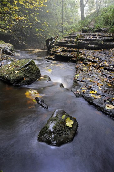 View of river cascades and trees with leaves in autumn colours