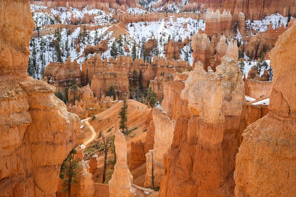 Limestone formations in Bryce canyon
