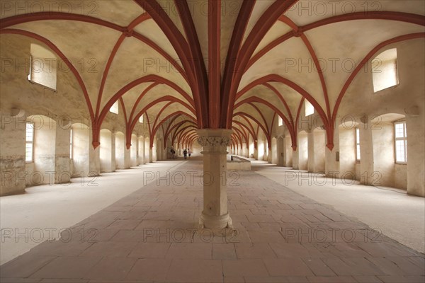Symmetrical cross vault from the monks' dormitory in the UNESCO Eberbach Monastery in Eltville