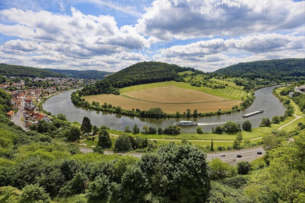 View from the lookout tower of the Hinterburg castle ruins onto the Neckar loop