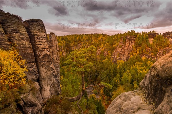 Basteiblick to the rock formation Grosse Gans