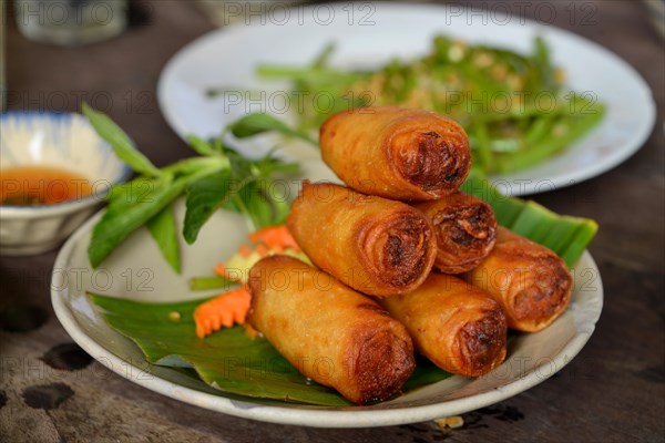 Spring rolls