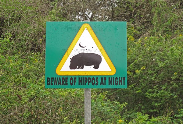 Warning sign Beware of Hippos at Night