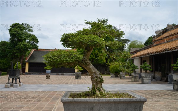 Imperial Tomb