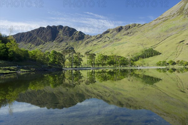 View of trees and felling reflected in the lake