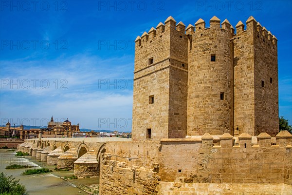 Torre de la Calahorra at the Puente Romano