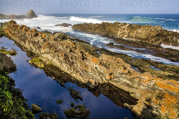 Tsitsikamma National Park